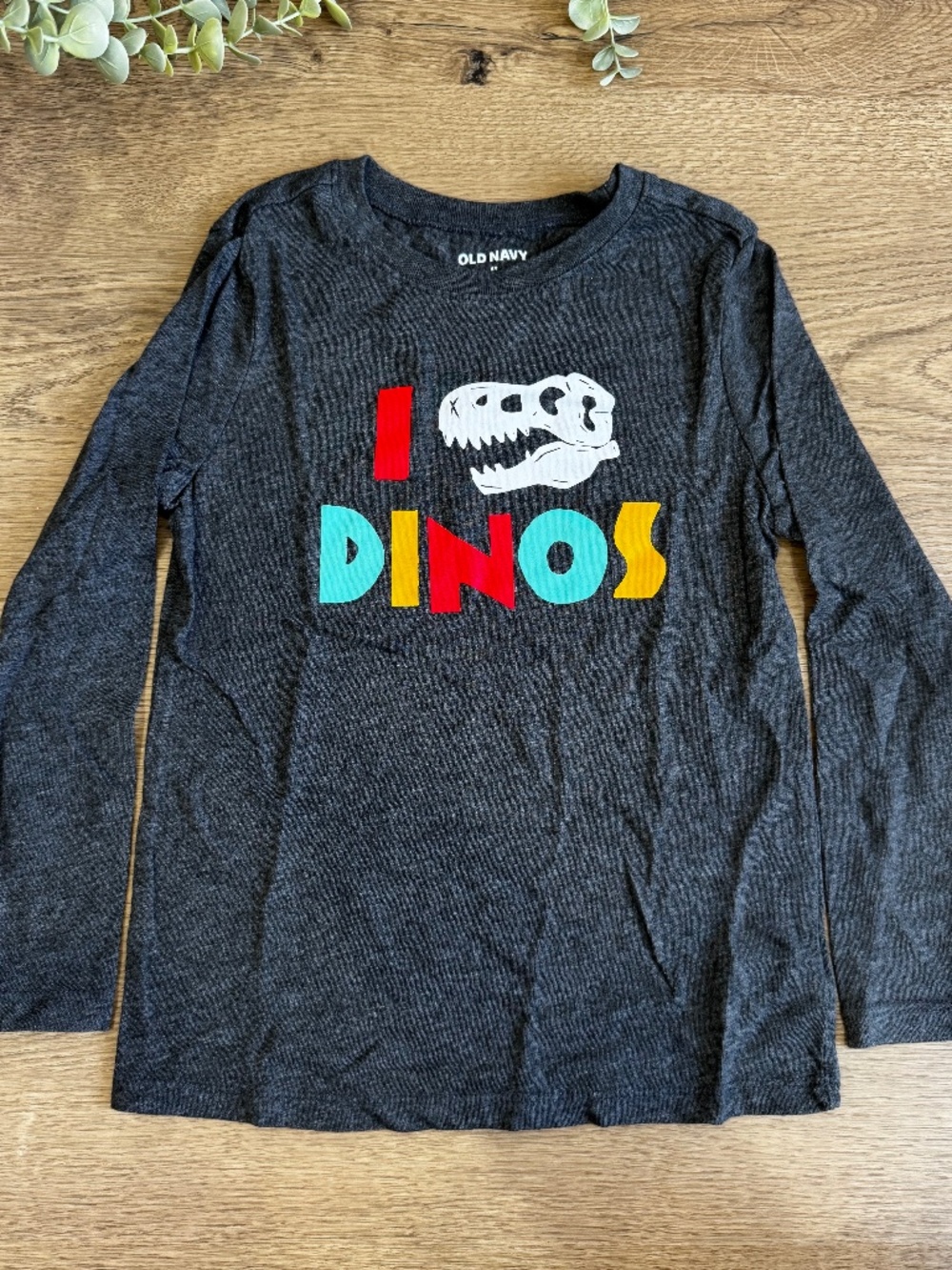 Old Navy Boys 6T I Love Dinos Dinosaur Long Sleeve Graphic Tee